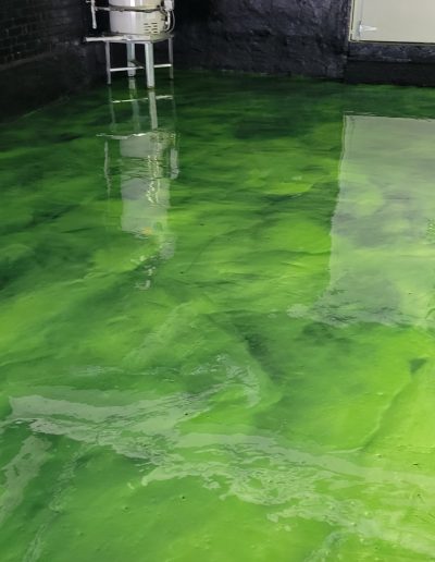 Epoxy Floors in Paoli, PA